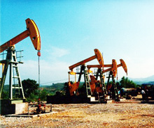 ʯ����I(y��)��(sh��)�ּ�Ⱥϵ�y(t��ng)��Q����