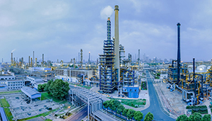 �ИI(y��)�YӍ